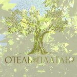 Платан Кабардинка