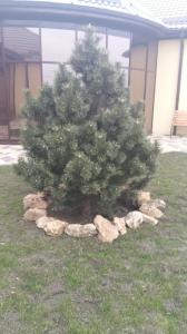 Фотография Юг-Фрост 4