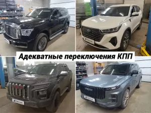 Фотография Евро Чип Тюнинг 1