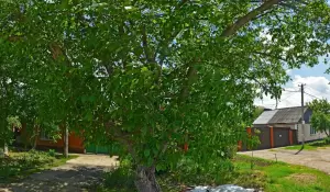 Фотография AVP-Сервис 1