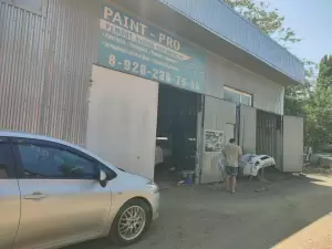 Фотография Paint-pro 0