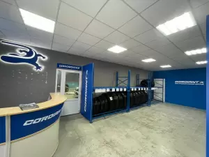 Фотография Cordiant Professional 24 4