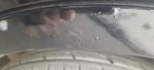 Фотография Ant Service 2