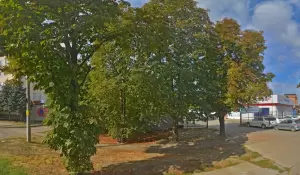 Фотография Транспортер сервис 3