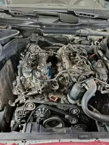 Фотография Альтернатива123 5