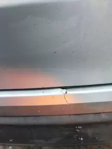 Фотография Samboss 2