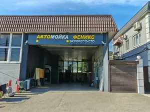 Фотография Феникс 0