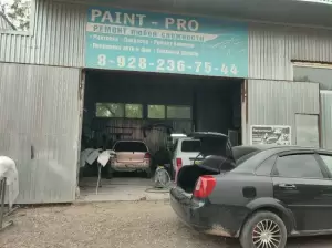 Фотография Paint-pro 1